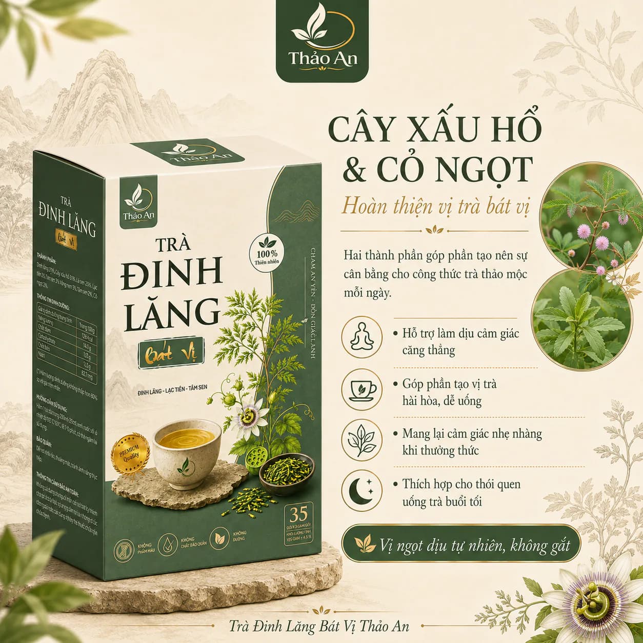 Minh họa Thảo An về cây xấu hổ và cỏ ngọt trong Trà Đinh Lăng Bát Vị